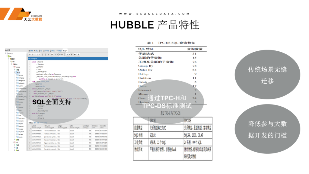 《Hubble:大规模高并发支持灵活查询的国产HTAP数据库》