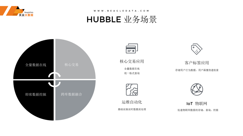 《Hubble:大规模高并发支持灵活查询的国产HTAP数据库》