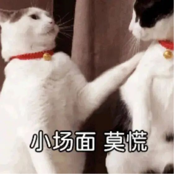 《与至尊版同宗同源：解密第五代骁龙8的“满血”旗舰体验》