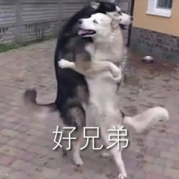 《与至尊版同宗同源：解密第五代骁龙8的“满血”旗舰体验》