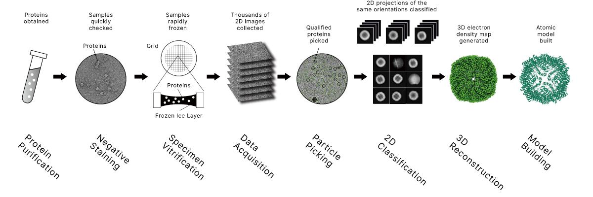 AI for Science进行时:水木未来携手火山引擎,以数据重塑生命科学研发插图2 《AI for Science进行时:水木未来携手火山引擎,以数据重塑生命科学研发》