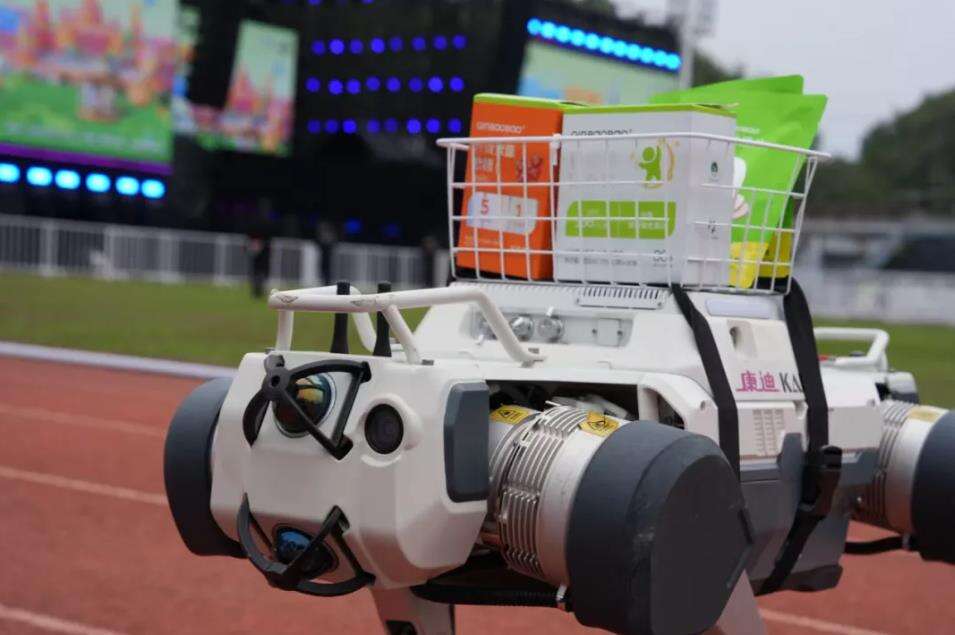 《Kandi机器狗亮相氧气音乐节，派送惊喜成“人气王”》