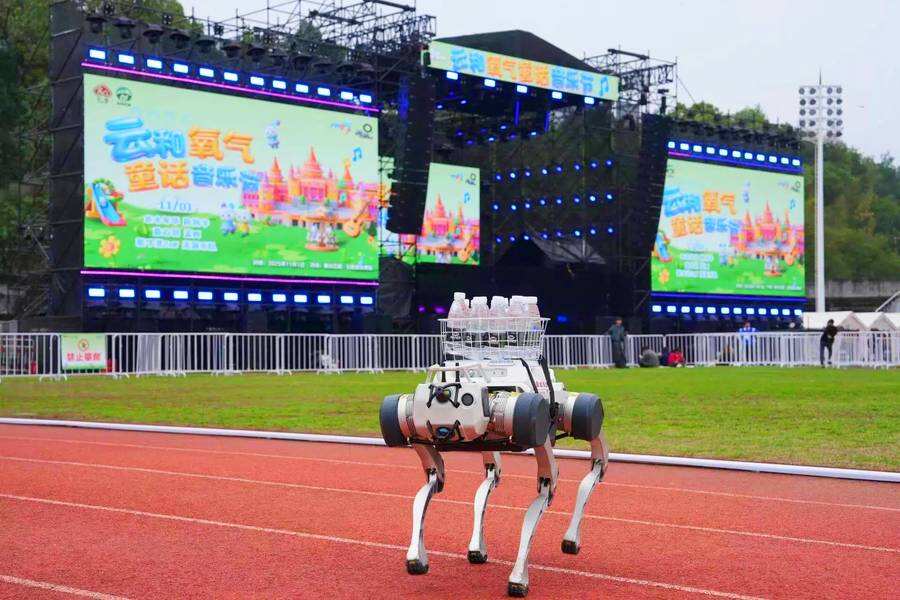 《Kandi机器狗亮相氧气音乐节，“派送惊喜”成全场人气王》