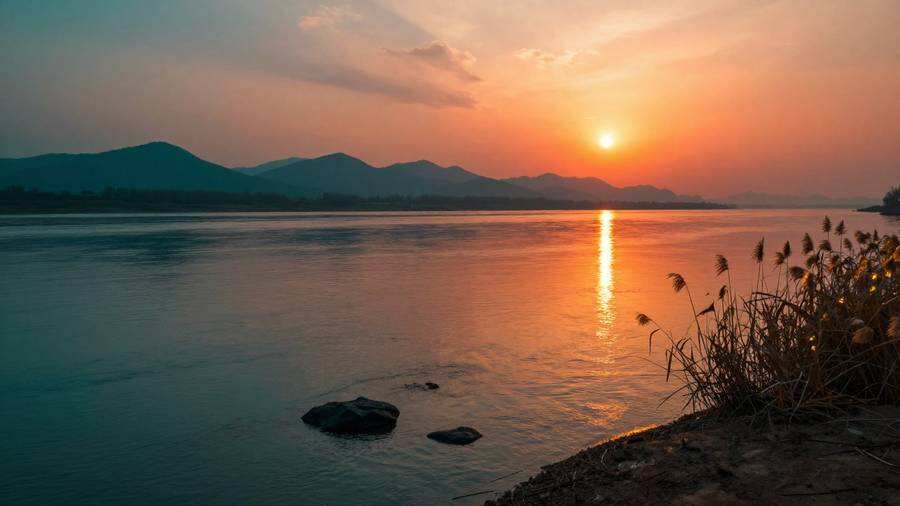 《阿里Z-Image登顶开源图像生成模型榜单，生图又快又便宜》