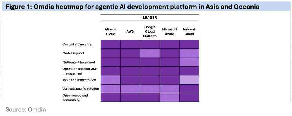《国际权威报告：阿里云获评Agentic AI开发平台市场领导者》