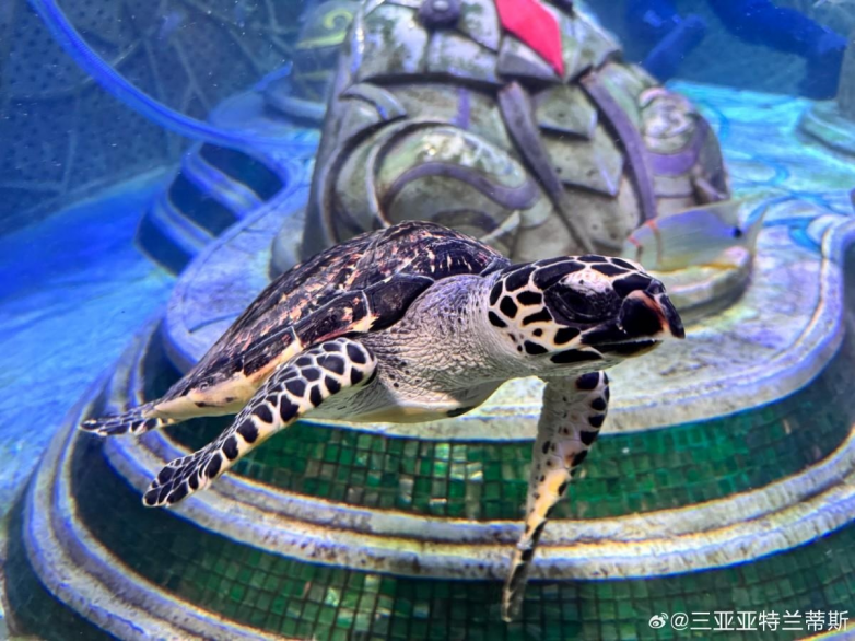 春假亲子出游目的地TOP10发布:厦门园博苑花灯乐园入选全国热门亲子打卡地插图20 《春假亲子出游目的地TOP10发布:厦门园博苑花灯乐园入选全国热门亲子打卡地》