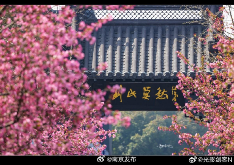 春假亲子出游目的地TOP10发布:厦门园博苑花灯乐园入选全国热门亲子打卡地插图23 《春假亲子出游目的地TOP10发布:厦门园博苑花灯乐园入选全国热门亲子打卡地》