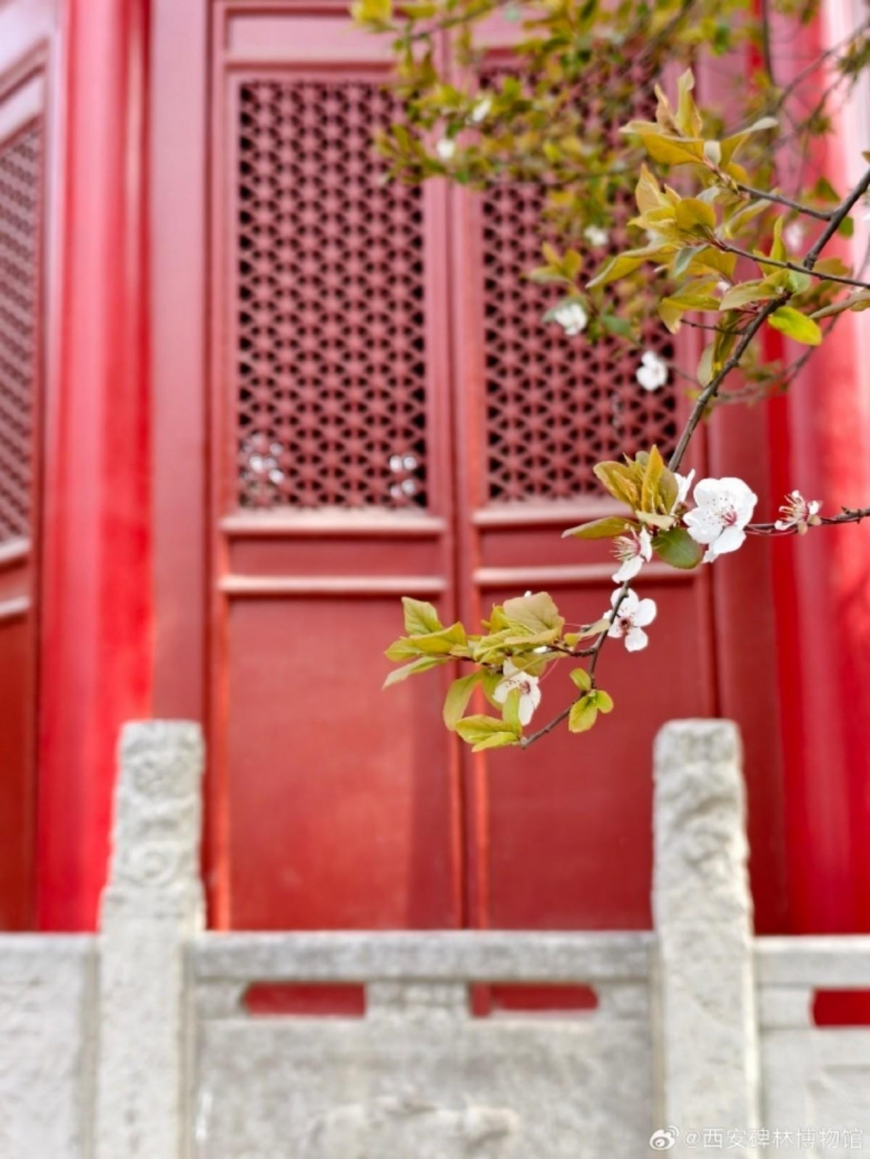 春假亲子出游目的地TOP10发布:厦门园博苑花灯乐园入选全国热门亲子打卡地插图24 《春假亲子出游目的地TOP10发布:厦门园博苑花灯乐园入选全国热门亲子打卡地》