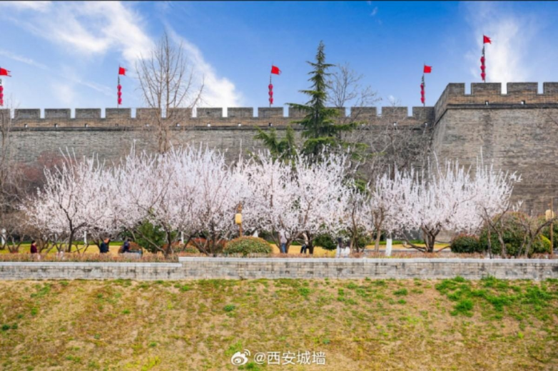 春假亲子出游目的地TOP10发布:厦门园博苑花灯乐园入选全国热门亲子打卡地插图25 《春假亲子出游目的地TOP10发布:厦门园博苑花灯乐园入选全国热门亲子打卡地》