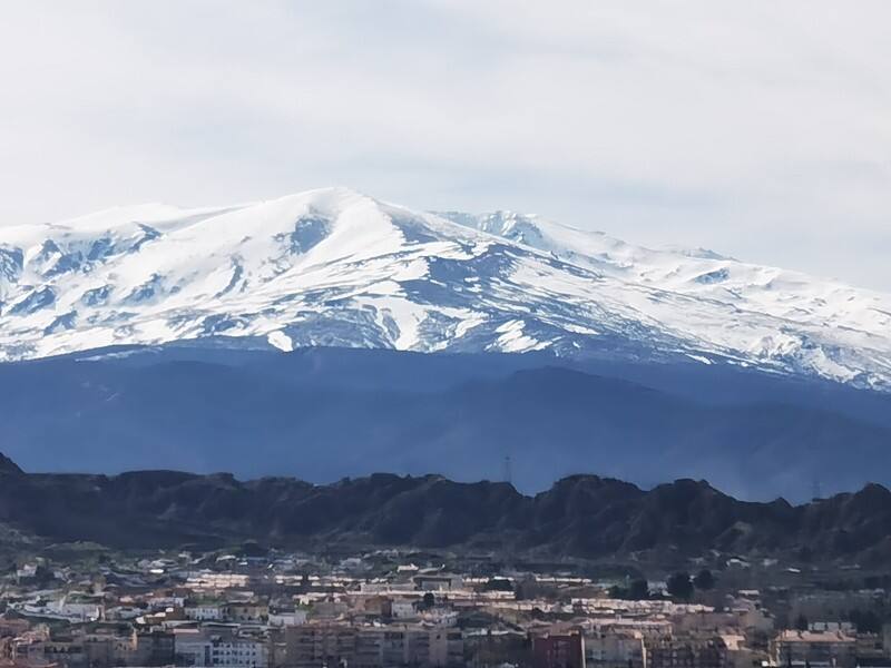 《西葡摩三国之旅：钉钉A1与AI支持的科技伴行》