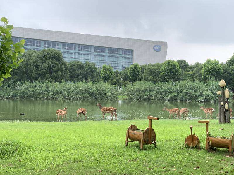 《敏实集团全球化的成功探秘：一家全球汽配企业高举高打的ESG》