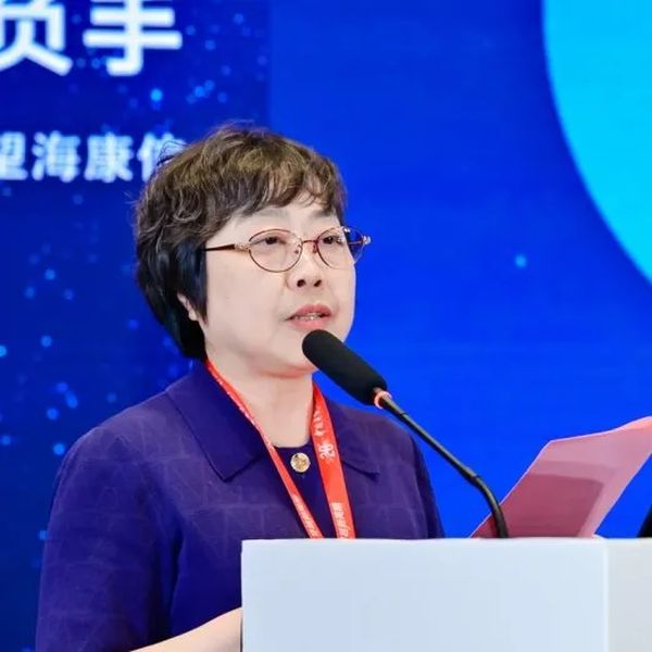 《Al+数据|东软携望海与行业大咖共话医院数智化破局之道》