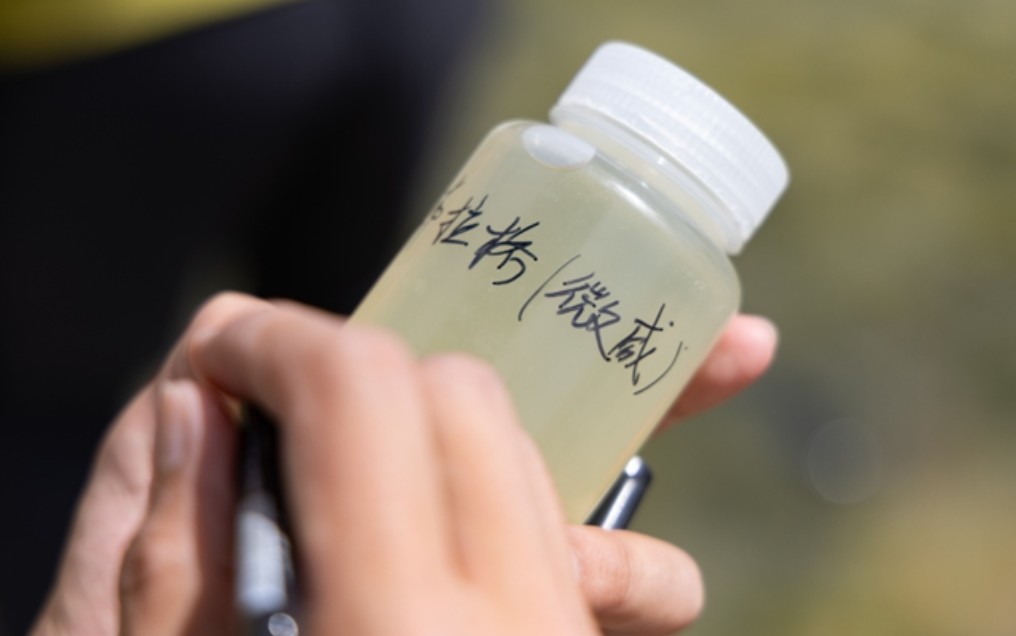 《2026巴丹吉林沙漠综合科学考察圆满结束》