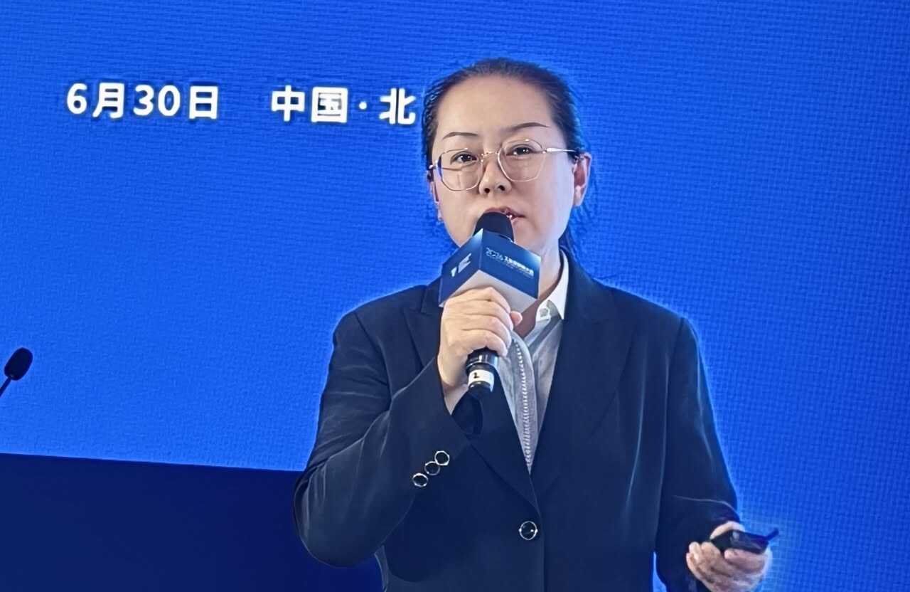 《宝武钢铁：钢铁行业垂类大模型技术进化与实践》